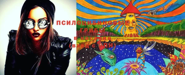 прущая мука Гусев