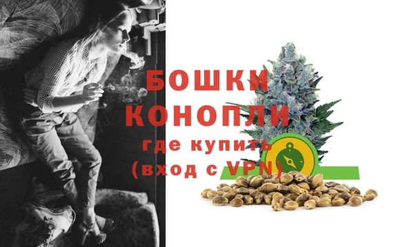 гидропоника Гусь-Хрустальный