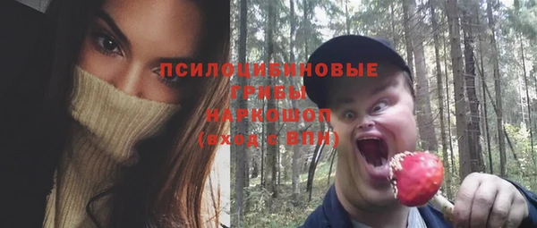 прущая мука Гусев