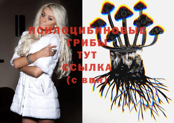 гидропоника Гусь-Хрустальный