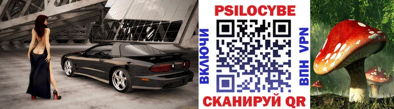 Купить закладки  Протвино  Псилоцибиновые грибы GOLDEN TEACHER 